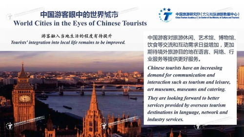 国际旅游城市游客满意度调查报告