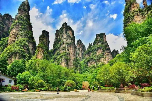 为国际旅游诗歌节造势,张家界市举办大中学生旅游诗歌朗诵大赛