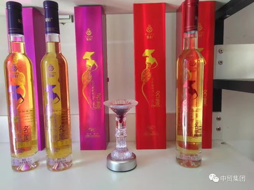 中贸文化 芬兰设计 中华孔雀苑国际旅游产品绽放丝绸之路旅游产品展览会